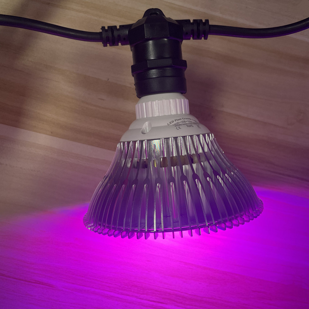สายไฟ LED ยาว 10 เมตร เกรดเชิง - Outdoor Lighting Gazebo บทวิจารณ์และราคา